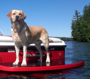 Ted on the boat