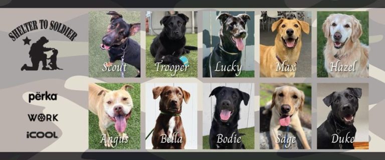 Buy Branded Gear, Save Lives of Pets and Vets